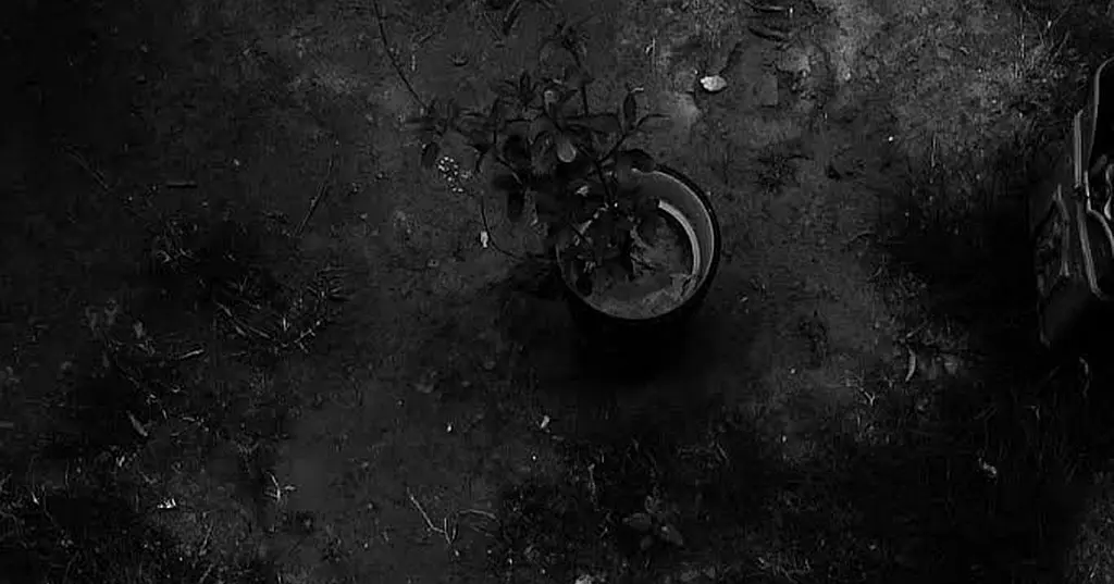 GI-TOC ¦ The 2025 Global Organized Crime Index - A Deep Dive into the Mekong Results