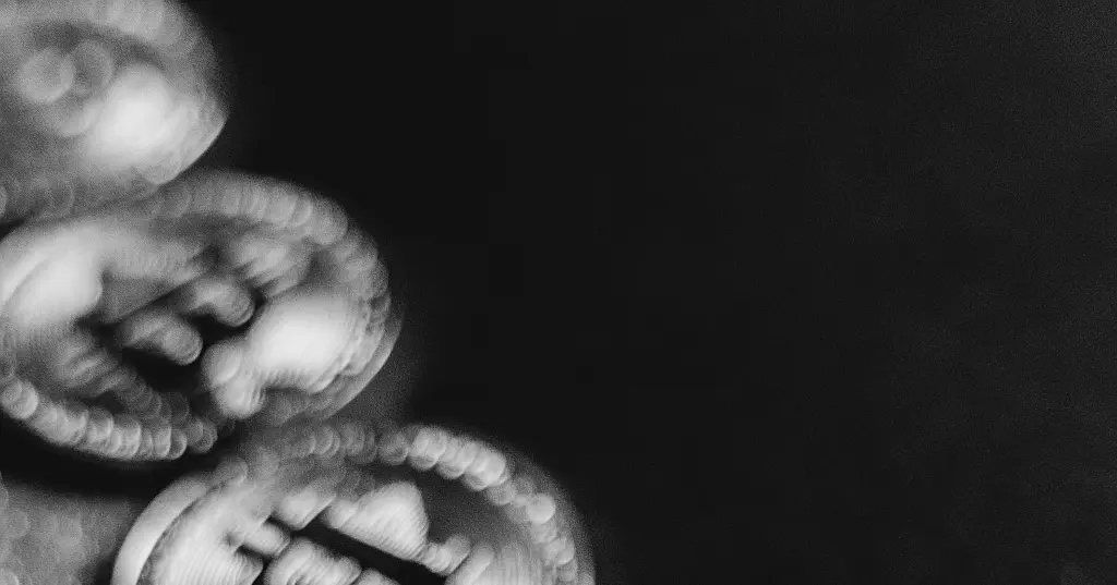 Fraud Detection Framework for Blockchain Finance: Tackling Arbitrage, Liquidity Exploits, and Money Laundering