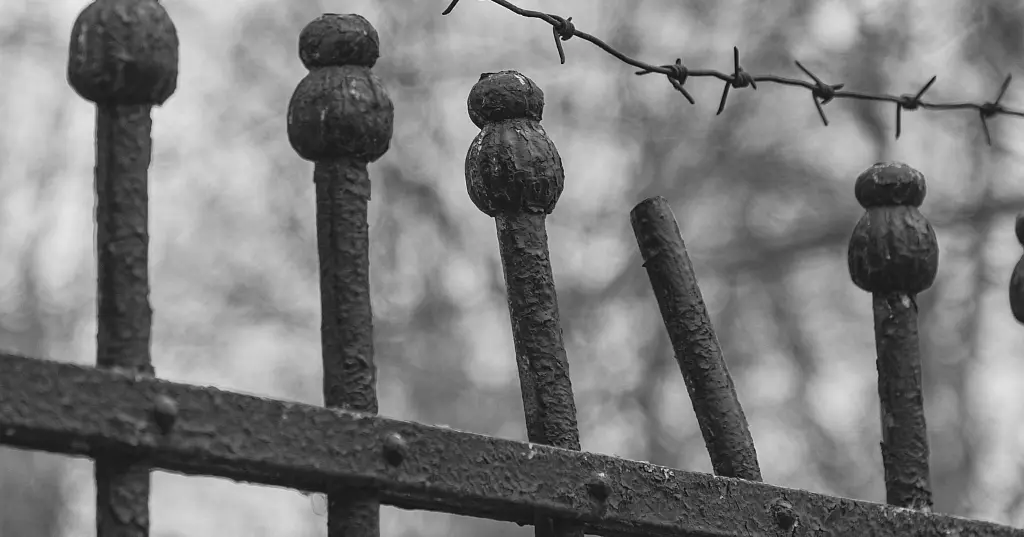Who Really Guards the Gate? Rethinking Intermediaries in Financial Crime Compliance