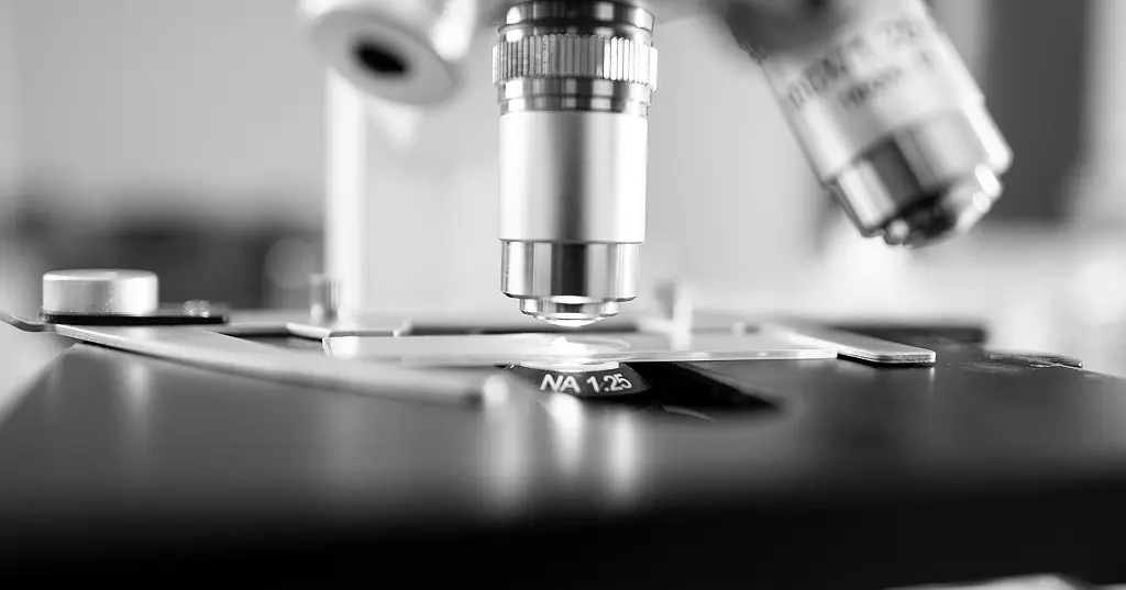 MONEYVAL ¦ Report on Money Laundering, Terrorist and Proliferation Financing Risks from Conflict Proceeds