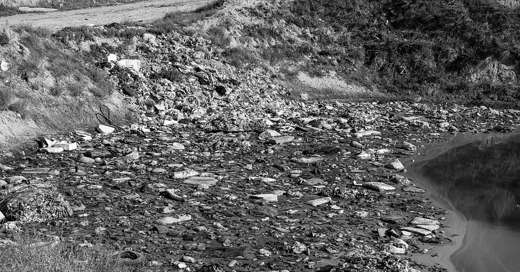 FIU [IMN] ¦ Environmental Crime Typologies and Red Flags