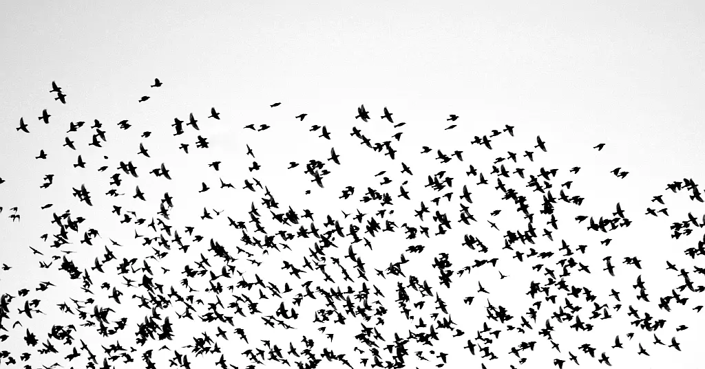 The Proposed Anti-Money Laundering Authority (AMLA) and the Future of FIU Collaboration in Europe