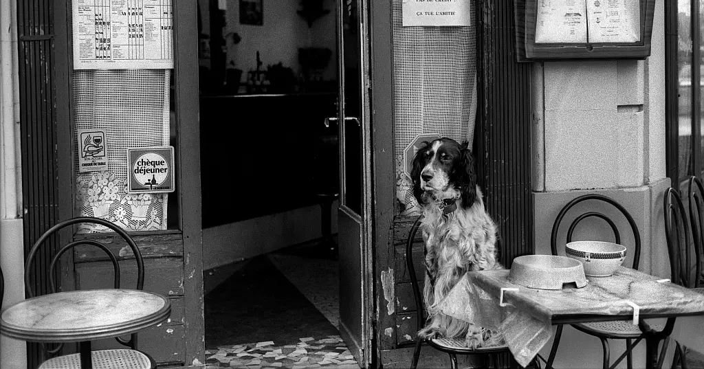 CJEU (AG) ¦ Beneficial Ownership, Trusts and “Similar Legal Arrangements”