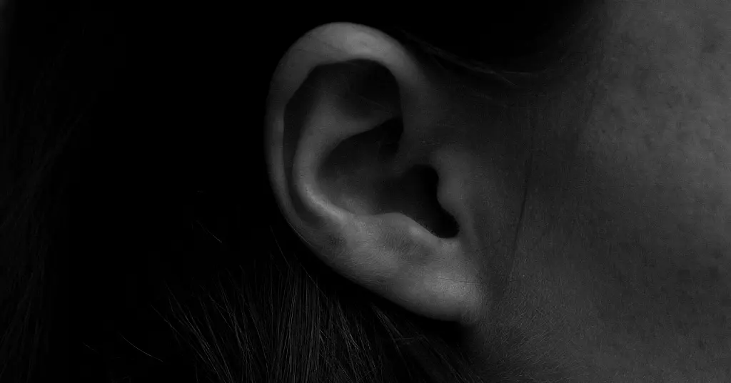 EP ¦ Hearing with Bruna Szego, Chair of the AMLA
