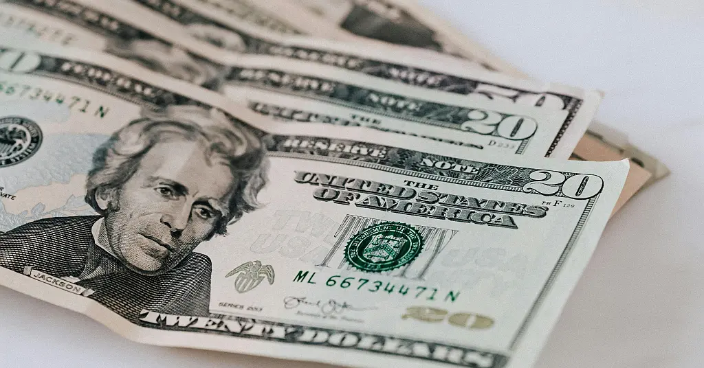 FALCON ¦ Policy Brief No. 3 Combatting Corruption and Fraud in Public Procurement