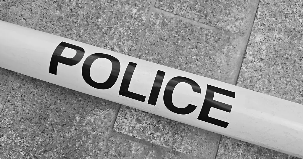 Police Lëtzeburg ¦ Compliance Audits Regarding the Beneficial Ownership Registry (BOR)