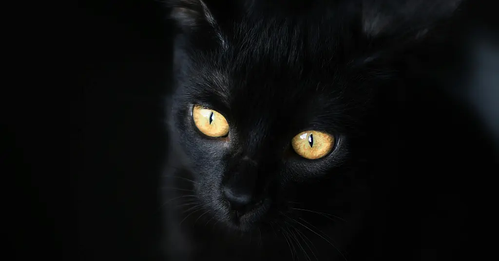 Across Borders ¦ Germany’s Money-Laundering Problem: How a Clean Façade Hides Dirty Cash