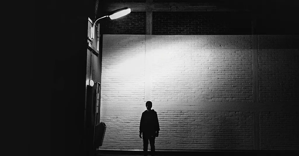 Hidden Ownership in Suspicious Transactions - Experimental Evidence on AML Reporting Priorities in Norway