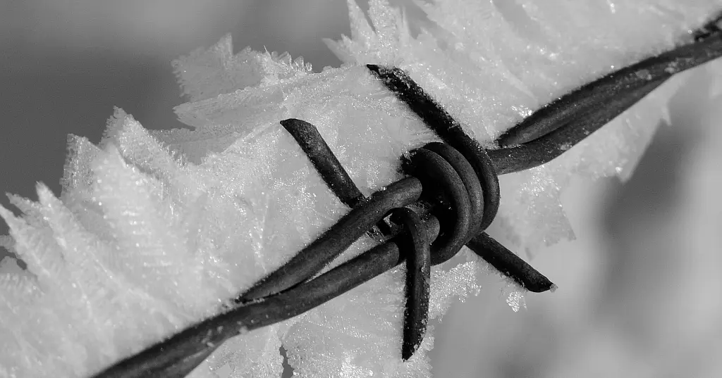 Ruling [CJEU] ¦ When 50% Is Enough: EU Sanctions, Corporate Control and Frozen Bank Accounts