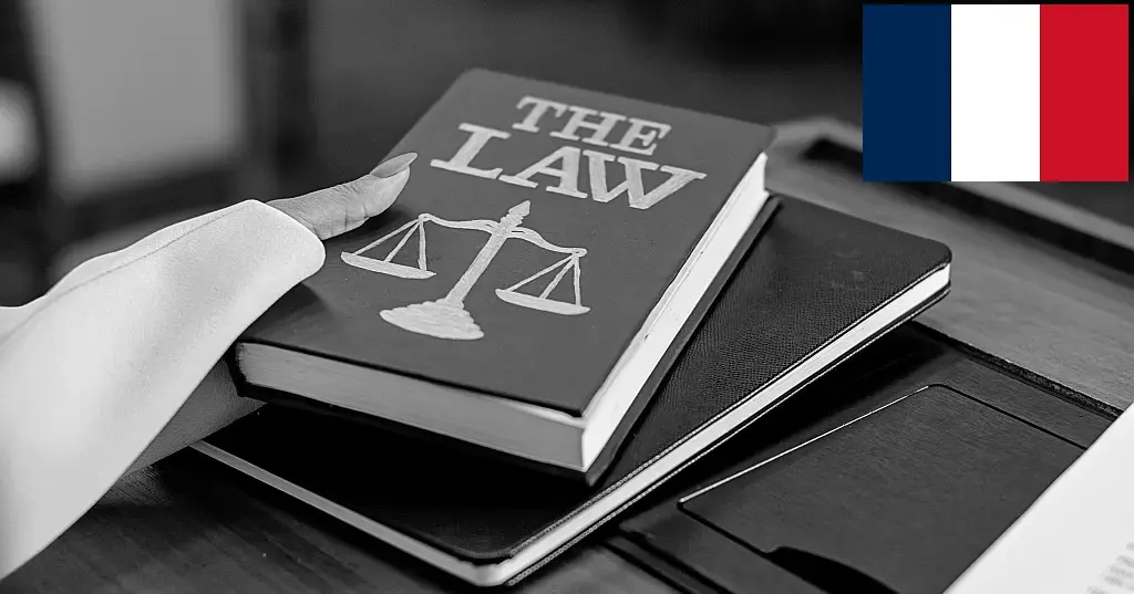 EC ¦ 2026 Rule of Law Report - Country Chapter: France