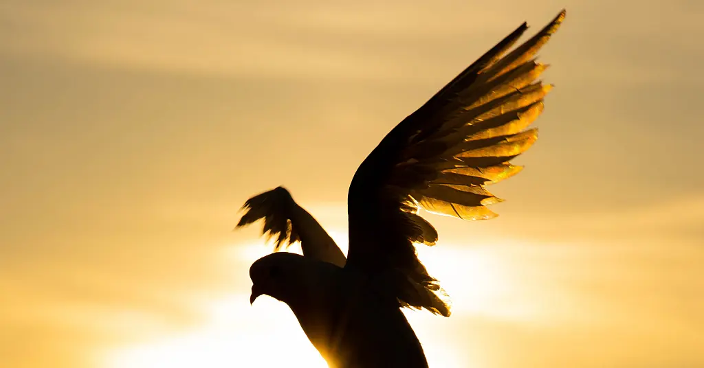 IEP ¦ Global Peace Index 2026: AI Warfare, Drone Attacks & Most Peaceful Countries