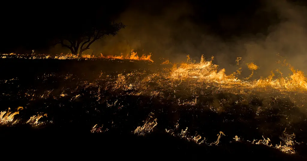 Across Borders ¦ German Money for Terror: How Extremist Groups Raise, Move, and Hide Funds