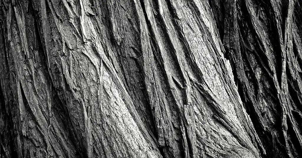 EU ¦ Agreement Reached on the First EU-Wide Criminal Law Rules Against Corruption