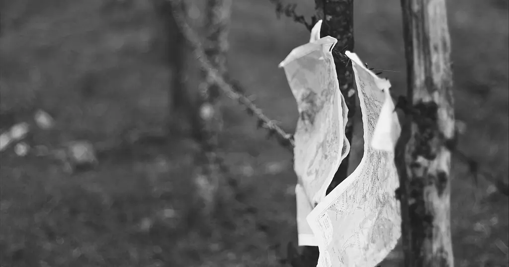 Fighting Crime Across Borders: Sovereign Equality and Judicial Cooperation in Criminal Matters