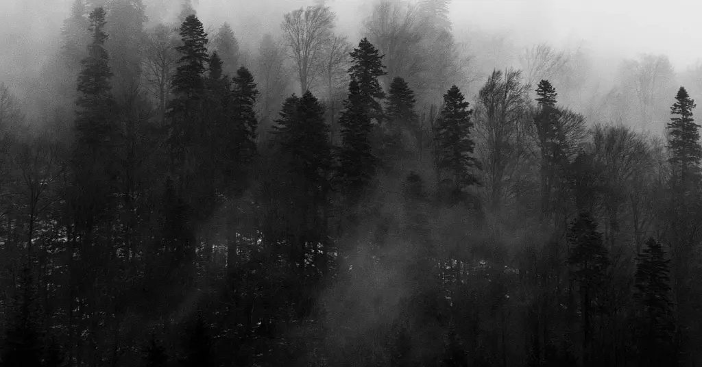 FATF ¦ Outcomes FATF Plenary, 22-24 October 2025